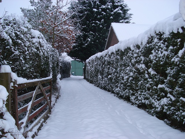 commercial driveway contractors