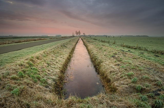 complete drain service