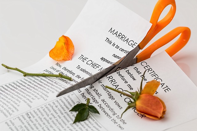 divorce attorney firm