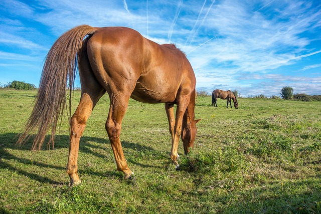 divorce-attorneys-near-me-640x480-41870230.jpeg
