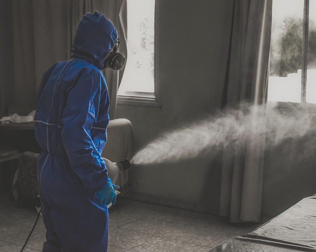 drain disinfection
