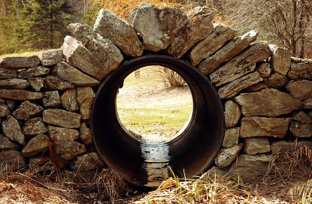 drain overflow