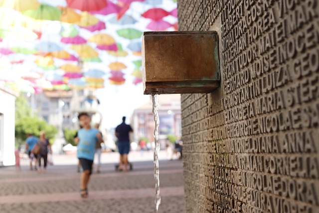 drinking water system