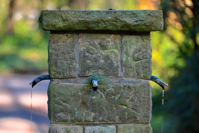 drinking water system