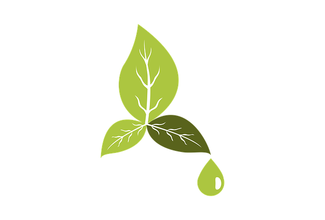 eco friendly drain cleaning
