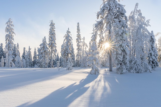 frozen pipe thawing