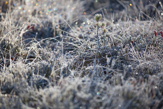 frozen pipe thawing