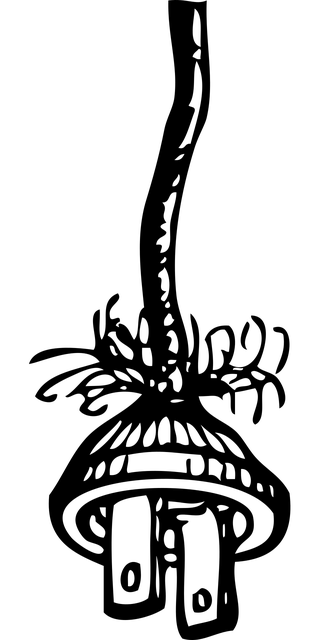 gas-appliance-hookup-640x480-29919783.png