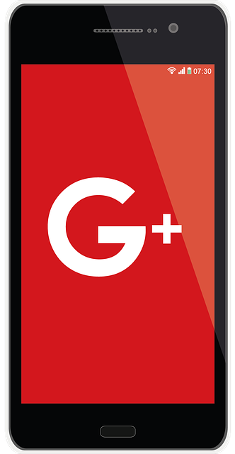 google ads management