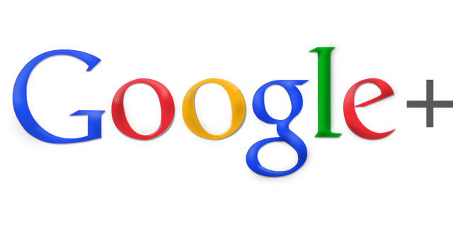 google ads management