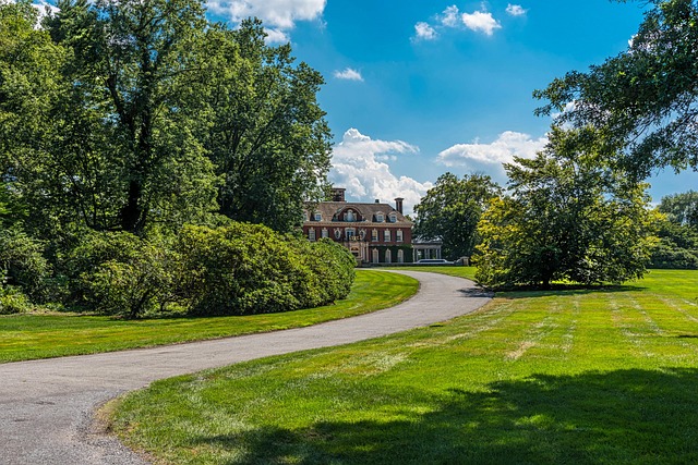 gravel driveway contractors