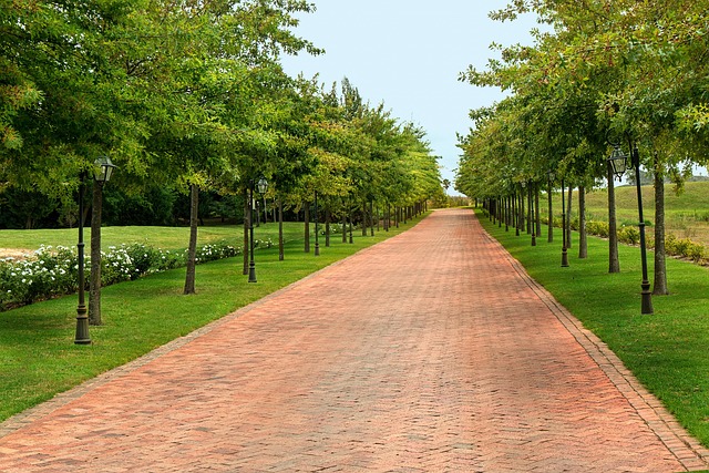 landscape paving