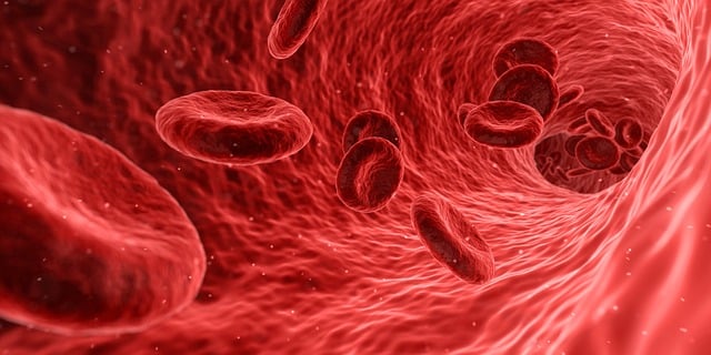 medical-facility-plumbing-640x480-63372602.jpeg