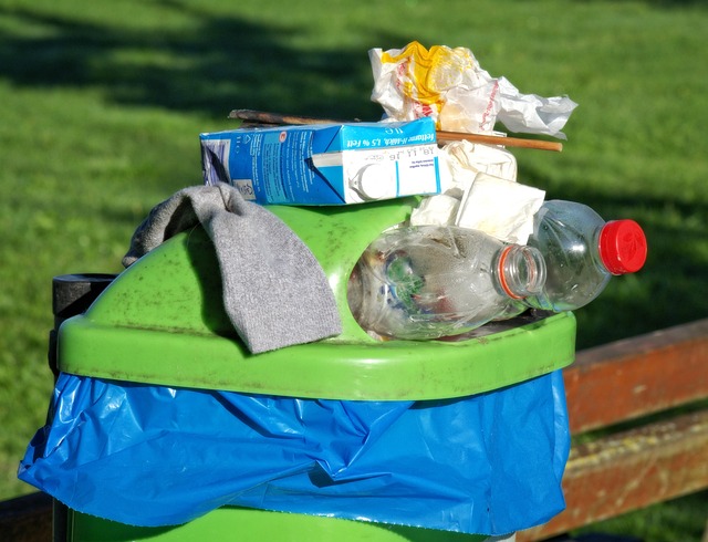 moen garbage disposal
