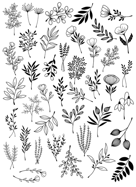 natural gas line