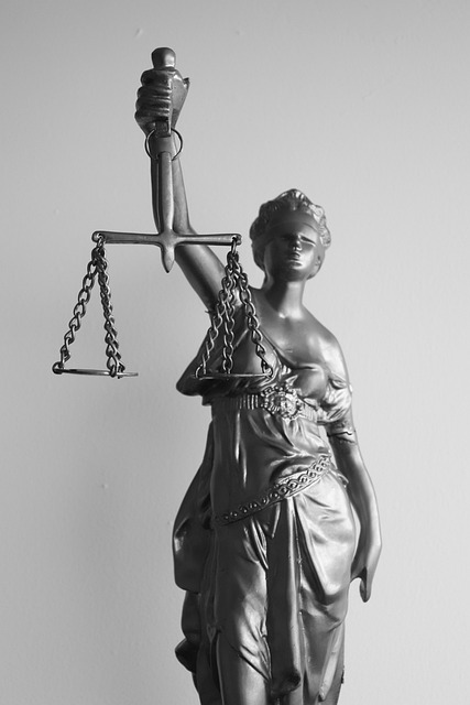parental rights attorney