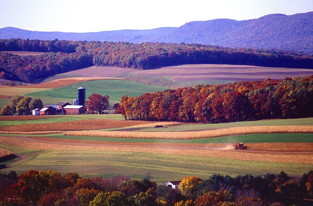 pennsylvania-digital-advertising-640x480-67002211.jpeg