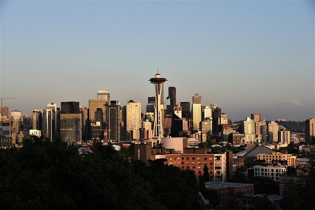 plumbing seattle wa