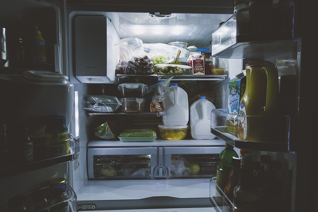 refrigerator water line