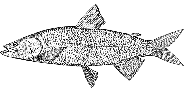 refrigerator water line