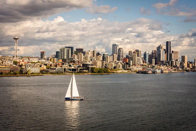 seattle leak detection