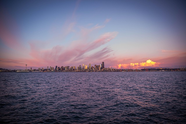 seattle leak detection