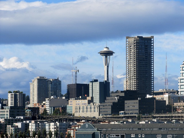 seattle leak detection