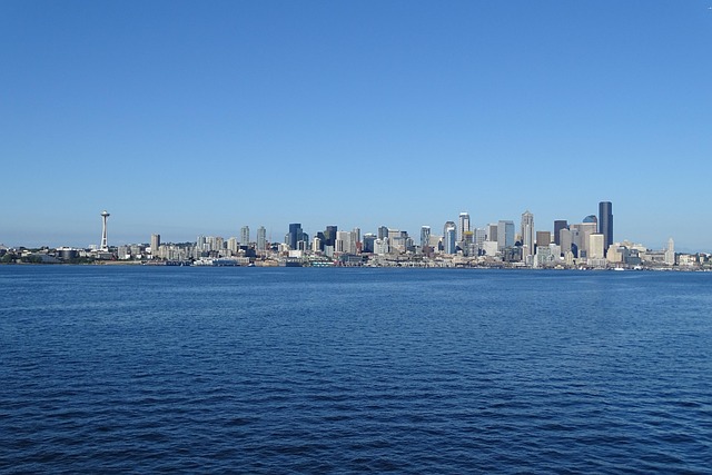seattle leak detection