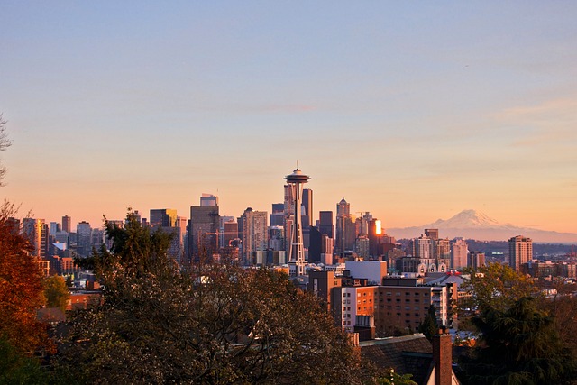 seattle leak detection