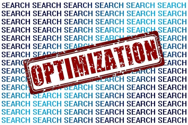 seo optimization services