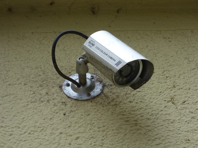sewer camera inspection