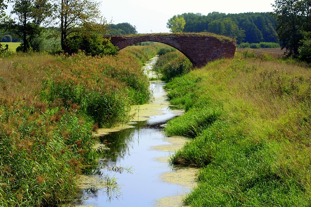 sewer-trenching-640x480-77179474.jpeg
