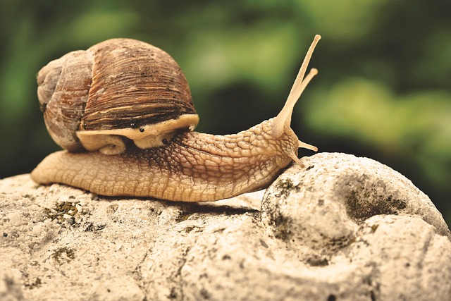slow drain