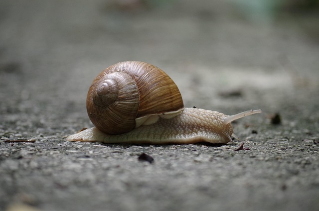 slow drain