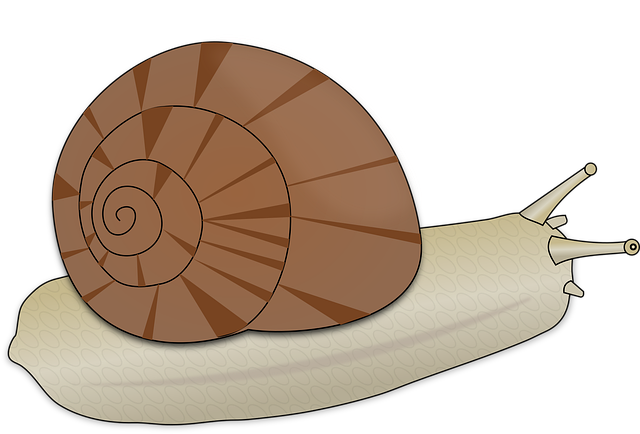 slow drain