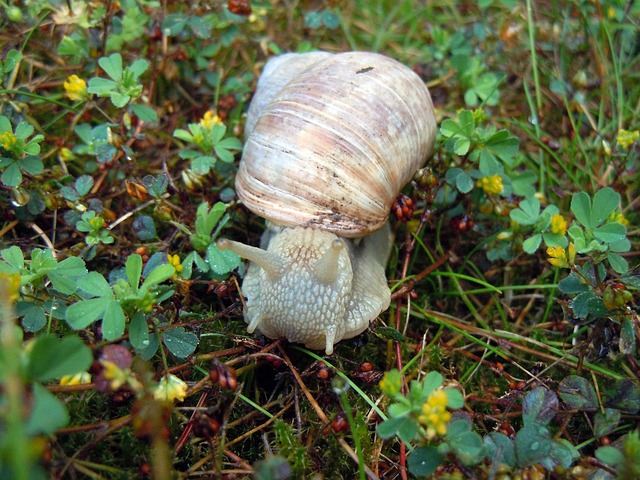 slow-drain-640x480-74336639.jpeg
