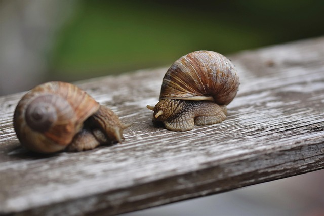 slow drain