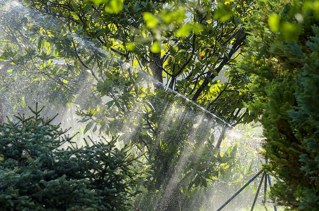 sprinkler leak repair