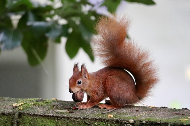 squirrel-hill-plumbing-640x480-43848057.jpeg