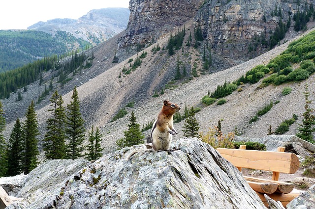 squirrel-hill-plumbing-640x480-6700306.jpeg