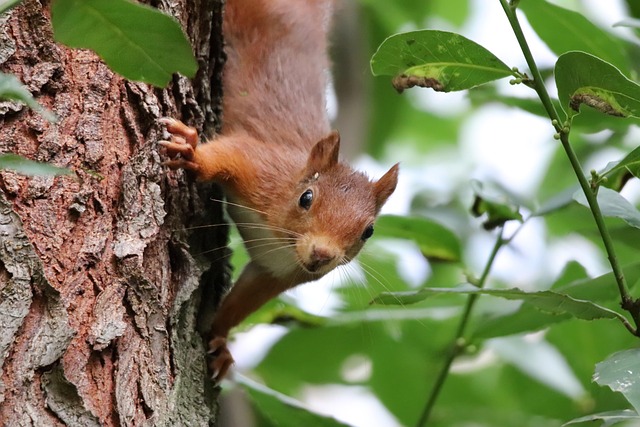 squirrel-hill-plumbing-640x480-73450048.jpeg