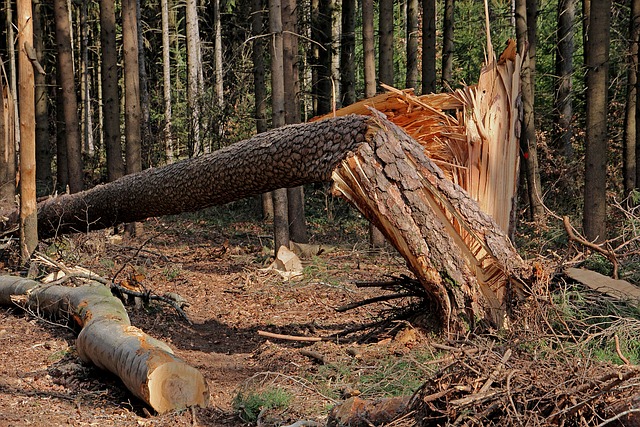 storm damage plumbing