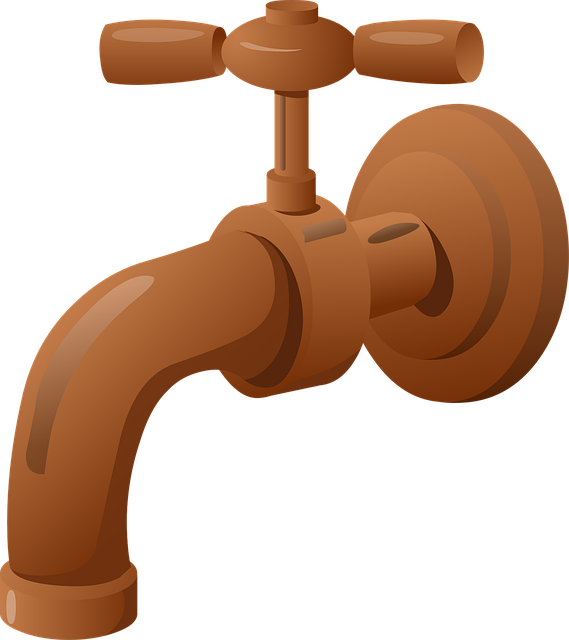 tacoma plumbing