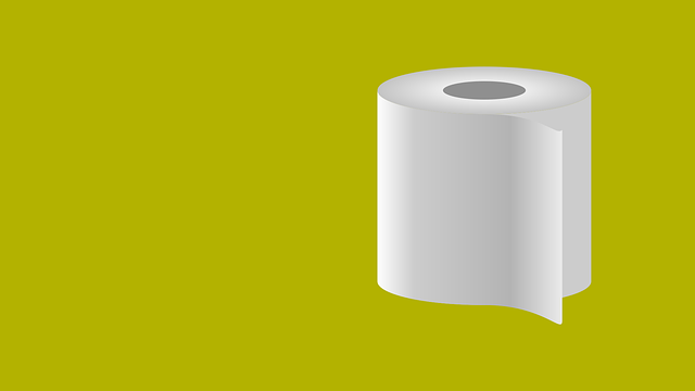 toilet troubleshooting