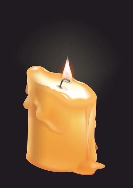 toilet wax ring