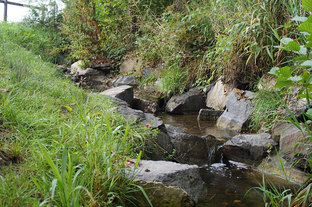 turkey creek plumbing