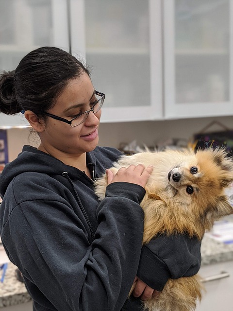 veterinary plumbing