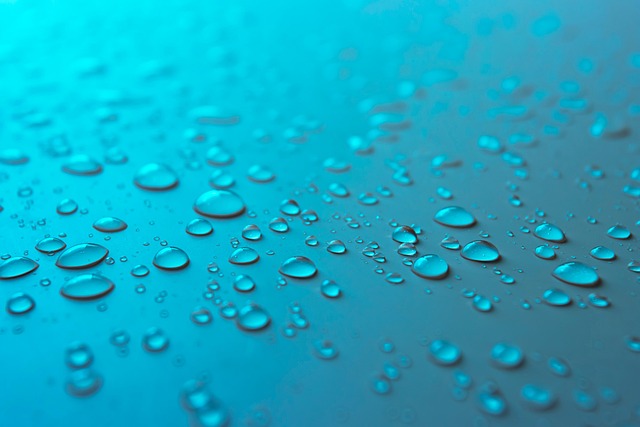 water descaler