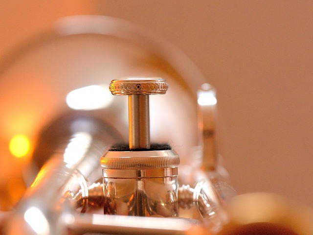 water heater drain valve