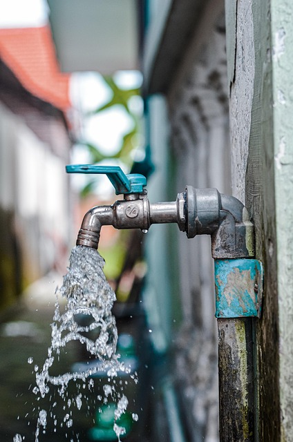 water heater drain valve
